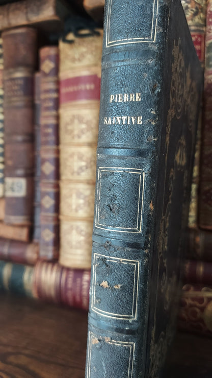 1845 Pierre Saintive | Vine Motif Cartonnage