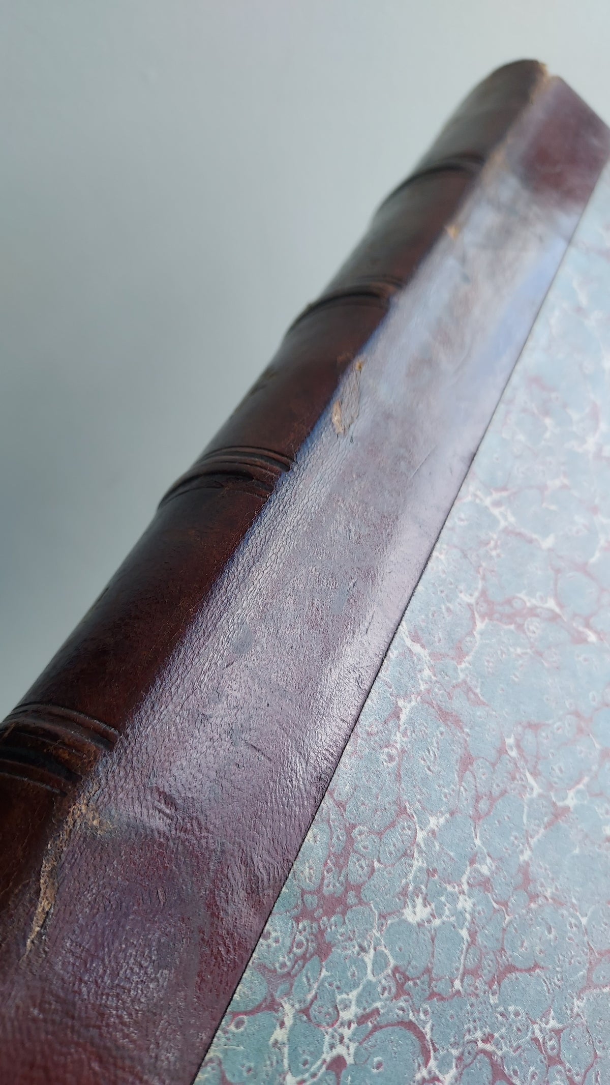 1867 Les Fleurs Animées | Grandville Brown Leather 2-Volume Set