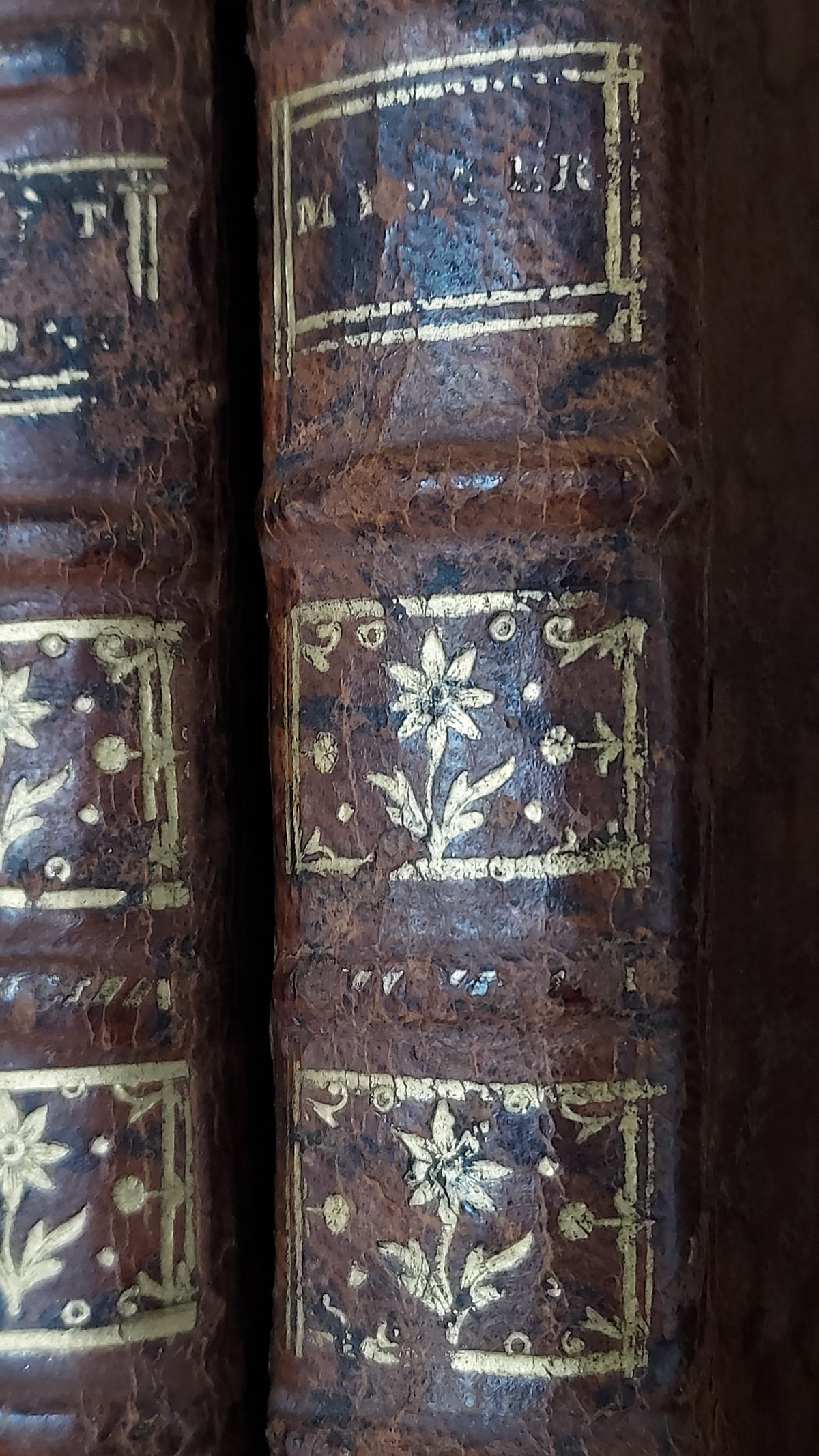 1776 Sermons de M. Massillon | 2-Volume Set w/Monastic Labels