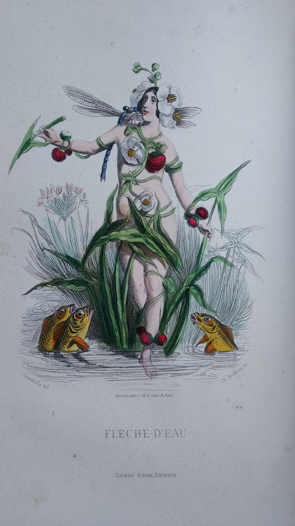 1867 Les Fleurs Animées | Grandville Brown Leather 2-Volume Set