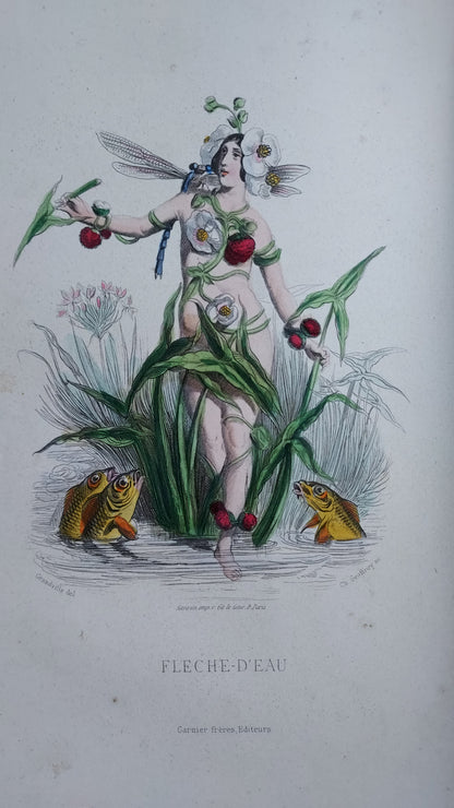1867 Les Fleurs Animées | Grandville Brown Leather 2-Volume Set