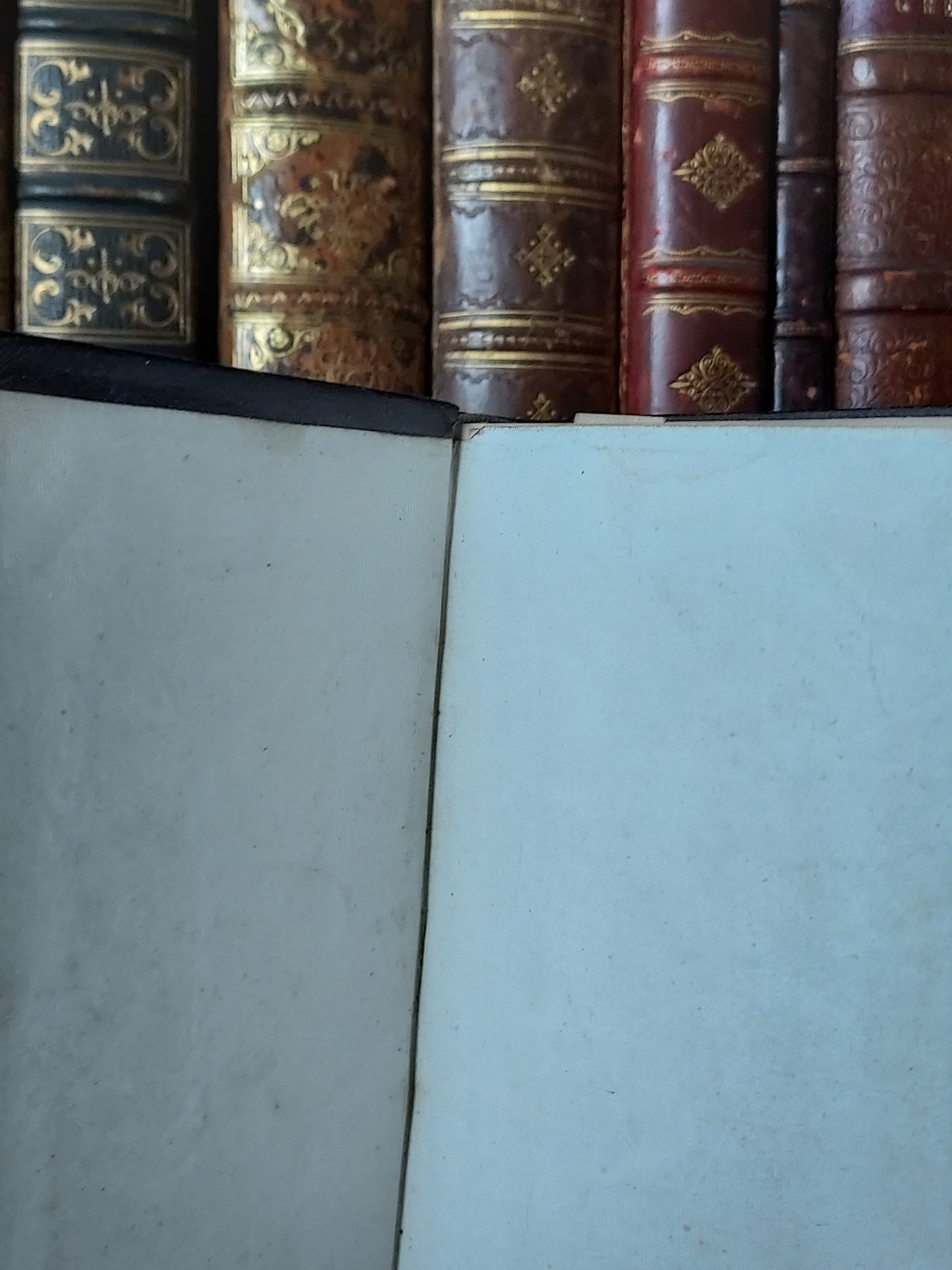 1897 Paroissien Romain | Floral Gauffered Edges