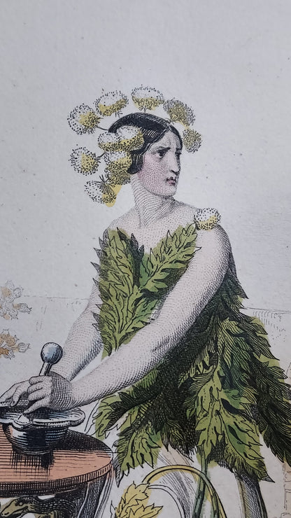 1867 Les Fleurs Animées | Grandville Brown Leather 2-Volume Set
