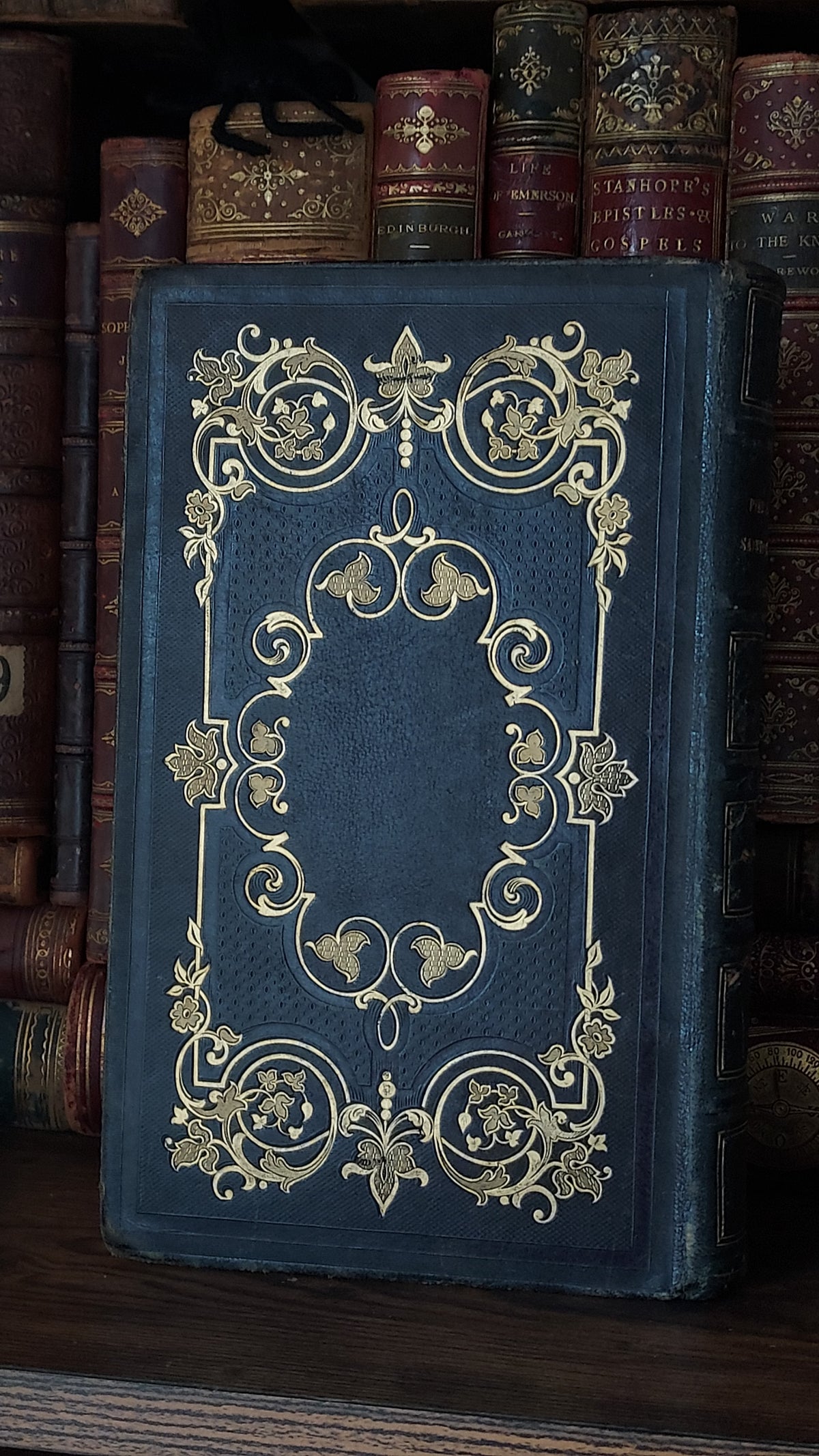 1845 Pierre Saintive | Vine Motif Cartonnage