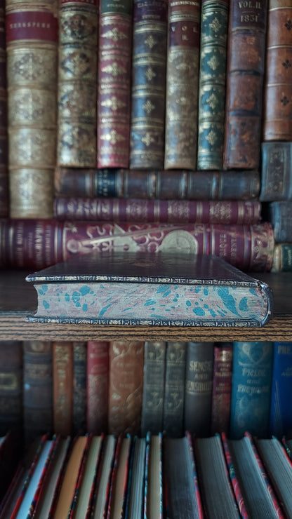 1895 Popular Astronomy | Fine Prize Binding