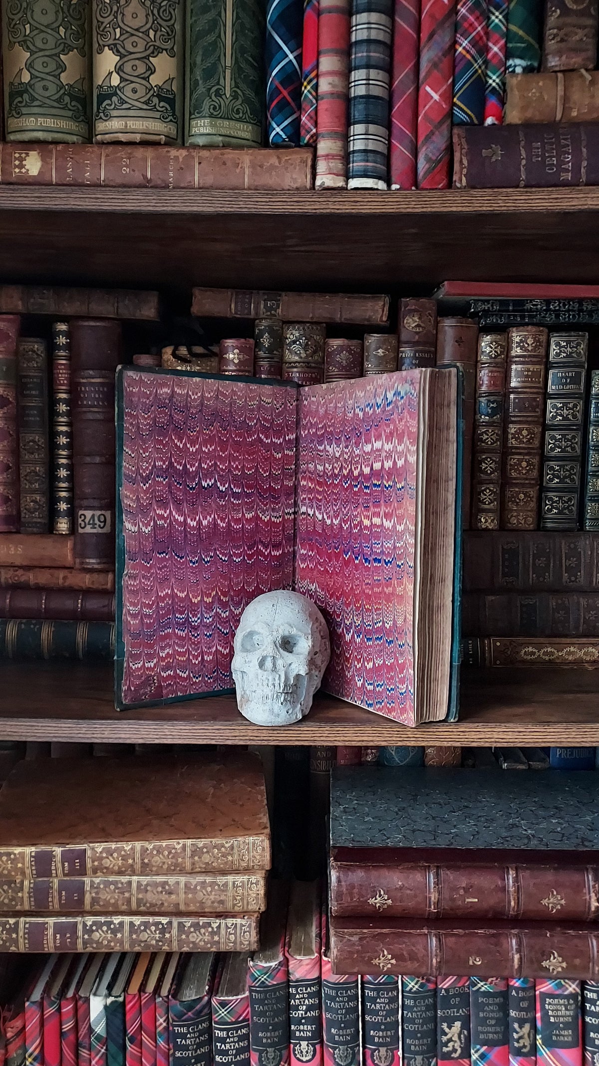 1804 The Shipwreck: A Poem | Green Leather & Thistles